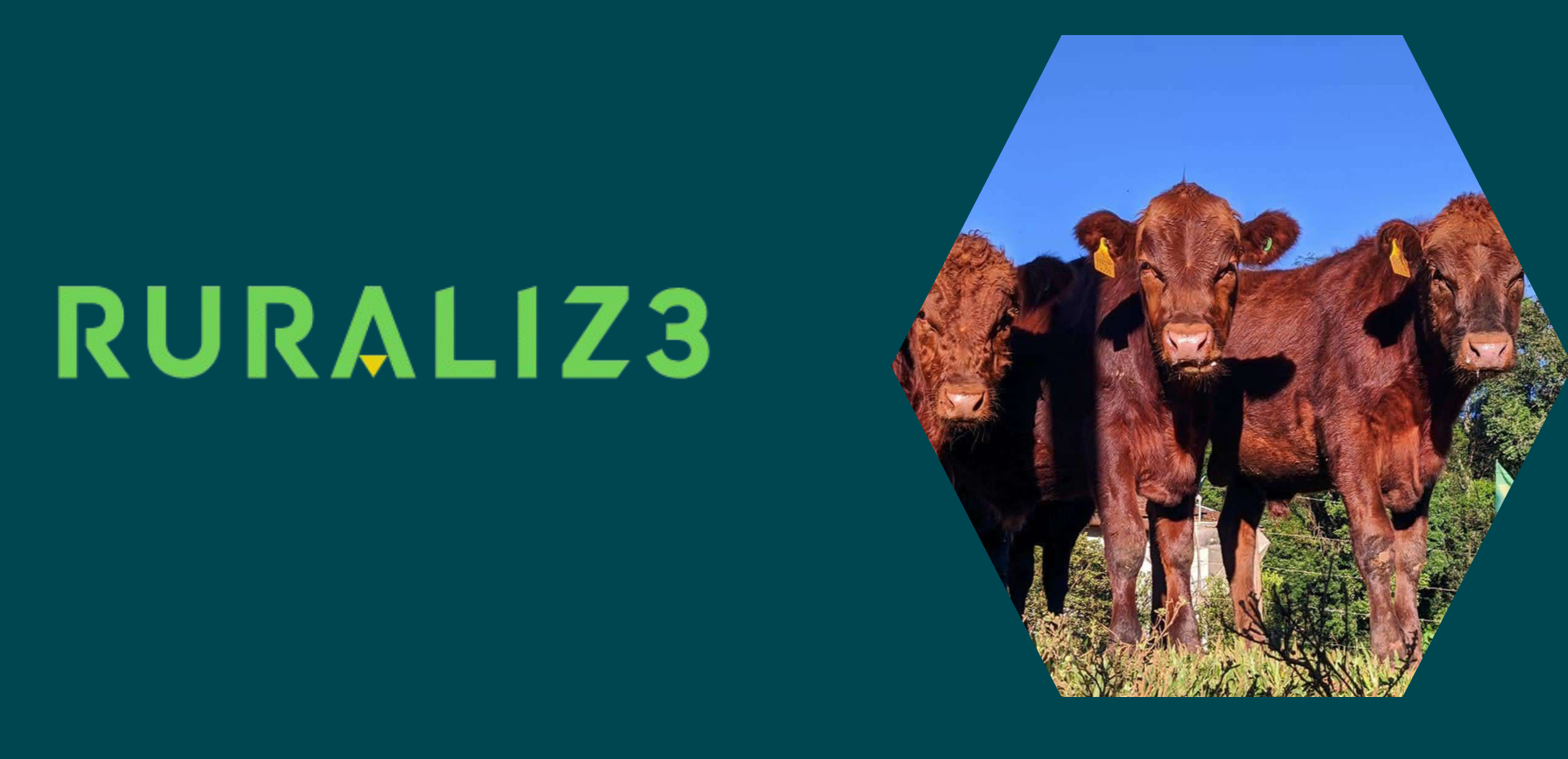 Manutenção em software